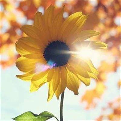 武林战争手游最新版下载